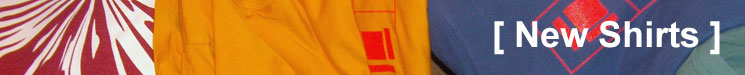 delsin banner