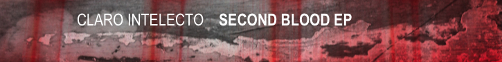 delsin banner