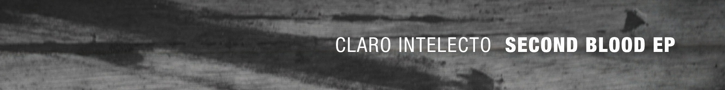 delsin banner