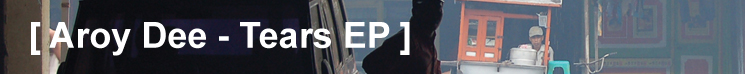 delsin banner