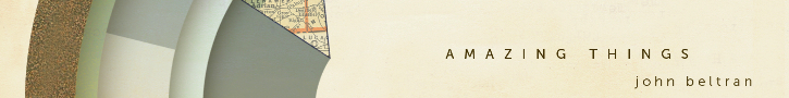 delsin banner