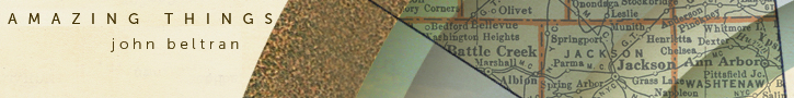 delsin banner