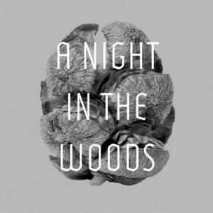 A Night In The Woods